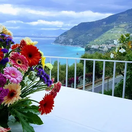 Torre Barbara Отель 4*