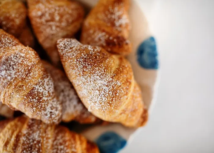 酒店 托勒巴巴拉酒店 维克艾库塞